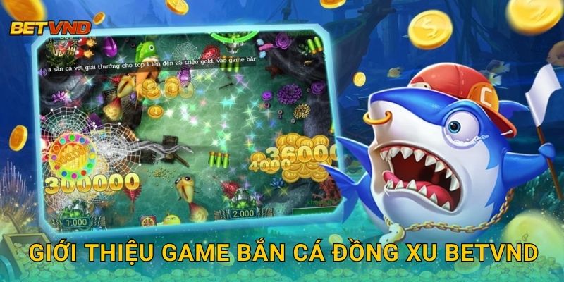 Giới thiệu game Bắn Cá Đồng Xu Betvnd