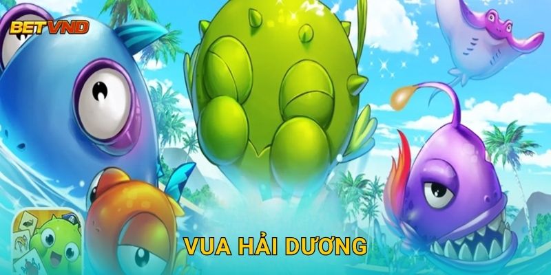 Vua Hải Dương – Trải nghiệm săn cá cực đã tại Betvnd