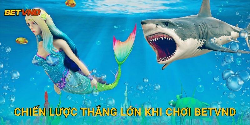 Chiến lược thắng lớn khi chơi Betvnd