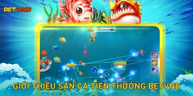Săn Cá Tiền Thưởng – Rinh quà khủng mỗi ngày tại Betvnd 2 Giới thiệu Săn Cá Tiền Thưởng Betvnd