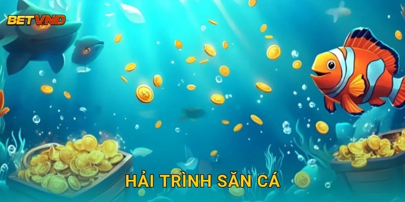 Hải Trình Săn Cá – Cuộc phiêu lưu đại dương tại Betvnd