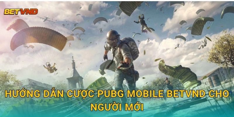 Hướng dẫn cược PUBG Mobile Betvnd cho người mới