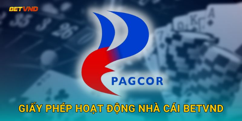 Giấy phép hoạt động nhà cái Betvnd