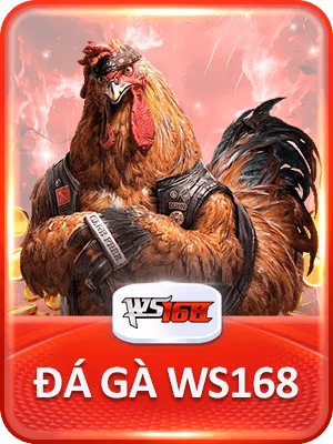 Trang chủ 8 imgi 197 custom VND